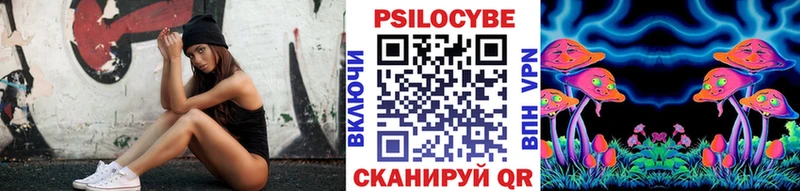 Псилоцибиновые грибы Psilocybe  где купить наркотик  Кызыл 